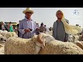 #كلام مهم عن الأضاحي🐑 واذاي تضحي كل سنة حتى لو الأضحية غالية الثمن