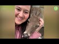 Deer Rescued and Released Comes Back With a Surprise