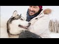 Alaskan Klee Kai vs. Siberian Husky, Which Is Better? Dog vs Dog