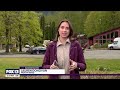 Wild pursuit: Lone zebra eludes capture in Washington | FOX 13 Seattle