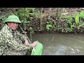 Build a duck coop on the river, fishing net, swamp survival shelter 22