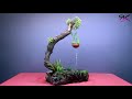 Amazing Bonsai Tree Waterfall Fountain | How to make Waterfall (DIY)