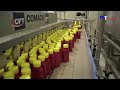 How Tomato Ketchup Is Made, Tomato Harvesting And Processing Process With Modern Technology