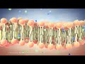 Structure of the Cell Membrane