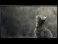 Monochrome Portrait of a Cat | 4K | TV Art with Music | Framed Painting | TV Wallpaper