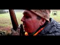Wild boar hunting - Sologne