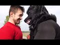 How to make SCARY WEREWOLF Costume