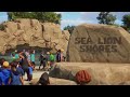 Building the Perfect Sea Lion Habitat in Franchise Mode! | San Bernardino Zoo | Planet Zoo