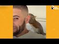Guy Tried To Release His Rescue Squirrel But She Always Came Back | The Dodo