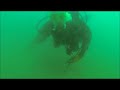 A Dive in Redondo