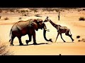 Lion Swings on Elephant's Trunk#ai#GPT#sora#kling#openai#story#animal