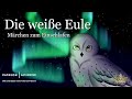 Winterliches Märchen: Die weiße Eule | Schnell einschlafen mit Märchen von A. Freifrau von Verschuer