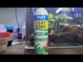 API Leaf Zone Aquarium Plant Fertilizer! (It Works!)