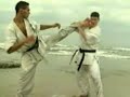 A brief history of Kyokushin Karate