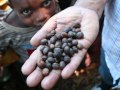 Ethiopia 2009