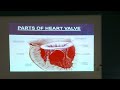 Valvular Heart Disease