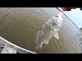 Spring Time Jigging The Saginaw River