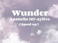 Ayliva & Apatsche 207 — Wunder (speed up)