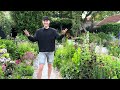 How to Stake Tall Perennials (No Metal Required) | Perennial Garden