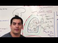 Respiratory | Types of Hypoxia: Hypoxemic | Anemic | Stagnant | Histotoxic