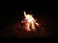 🔥 Bonfire ASMR 🔥 With precious and warm memories on the last night of March⏳ (sleep, healing)