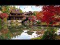 Zen Garden | Relaxing Music | Sleep Music for Meditation, Therapy