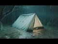 Rain On Tent In The Rainforest, Rain Sound for Sleeping - Beat insomnia, Relax, Study, Reduce Stress