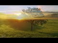 Beautiful Relaxing Music, Peaceful Soothing Instrumental Music, in 4k 