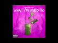 What I'm Used To - Sierra Rose Stone (Audio)