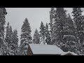 Snowiest Day of the Season Recorded in California's Sierra Nevadas