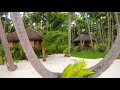 Tropical Island Walk | Ocean Beach Nature | Motu Tane | Bora Bora, French Polynesia 🇵🇫 | 4K Travel