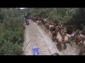 Enduro Riding on Yamaha WR250