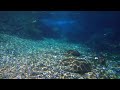 4K natural environment sound / Soothing underwater video + underwater sound