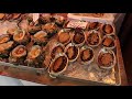 Japan Street Food Tsukiji Market 日本筑地市场也太好吃了吧！🍣