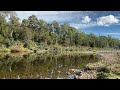 Beautiful Tasmania | harizon88 #shorts