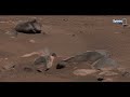 NASA's Newly Released Images of Mars Life - Mars Perseverance Rover Footage