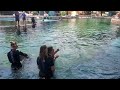 Dolphin Encounter Sea World San Antonio