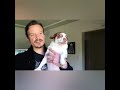 Mr.Bubz's CUTE Compilation !