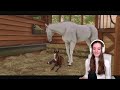 BREEDING AND BUYING PURE WHITE HORSES - Rival Stars Horse Racing | Pinehaven