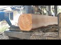 A fantastic way for seniors to saw desert mahogany wood at a sawmill
