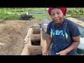 PLANTING POTATOES IN CARDBOARD BOXES