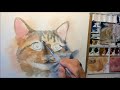 Cat Watercolor portrait REAL TIME painting demo by Ch.Karron