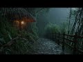 Falling Rain - The Sound of Nature, Helps You Find Peace Within Yourself