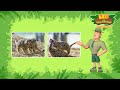 STRONGEST BITE EVER! 😬 | Scary Mammals | Leo the Wildlife Ranger | Kids Cartoons
