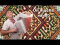 Українські пісні під гармошку