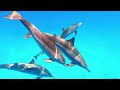 1500 Animals of Ccean 12K HDR 120fps Dolby Vision | Underwater World, Marine Life, Relaxation