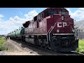 CP 9834 leads CPKC 242