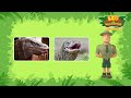SLITHERING SERPENTS! 🐍 Snakes, Chameleon & more! ✨ | Leo the Wildlife Ranger | Kids Cartoons