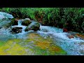 Relaxing Water Sounds for Working