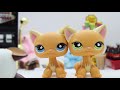 LPS Package: Tom and Puzzle Shorthair from pastelpetshops
